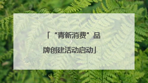 “青新消费”品牌创建活动启动