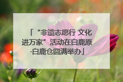 “非遗志愿行 文化进万家”活动在白鹿原·白鹿仓圆满举办