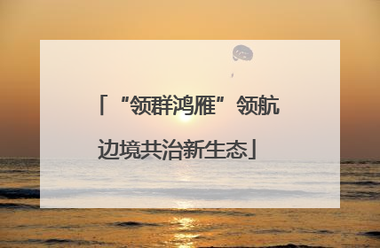 “领群鸿雁”领航边境共治新生态