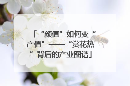 “颜值”如何变“产值”——“赏花热”背后的产业图谱