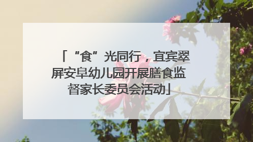 “食”光同行，宜宾翠屏安阜幼儿园开展膳食监督家长委员会活动