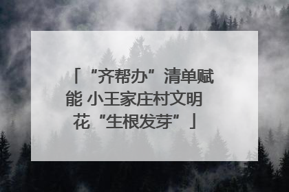 “齐帮办”清单赋能 小王家庄村文明花“生根发芽”