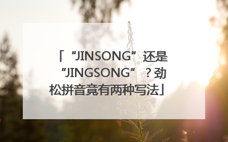 “JINSONG”还是“JINGSONG”？劲松拼音竟有两种写法