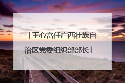 王心富任广西壮族自治区党委组织部部长