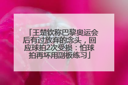 王楚钦称巴黎奥运会后有过放弃的念头，回应球拍2次受损：怕球拍再坏用副板练习