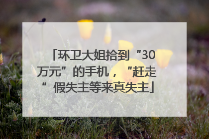 环卫大姐拾到“30万元”的手机，“赶走”假失主等来真失主
