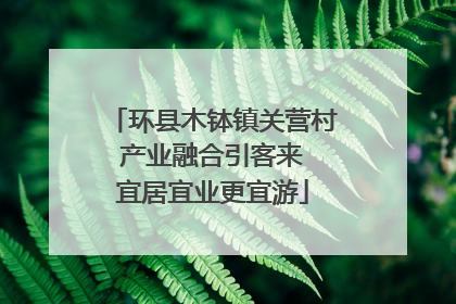 环县木钵镇关营村 产业融合引客来 宜居宜业更宜游