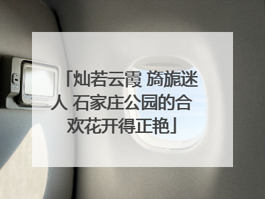 灿若云霞 旖旎迷人 石家庄公园的合欢花开得正艳
