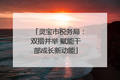 灵宝市税务局：双措并举 赋能干部成长新动能