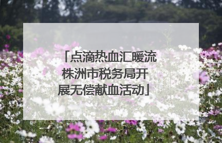 点滴热血汇暖流 株洲市税务局开展无偿献血活动