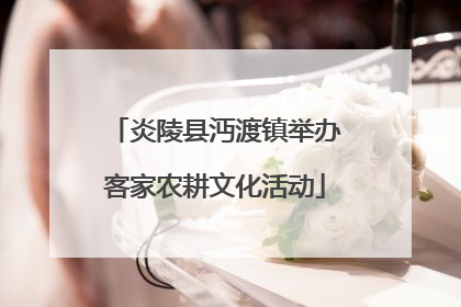 炎陵县沔渡镇举办客家农耕文化活动