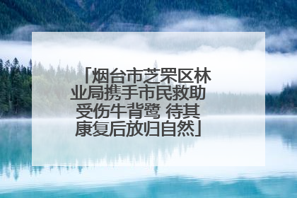 烟台市芝罘区林业局携手市民救助受伤牛背鹭 待其康复后放归自然