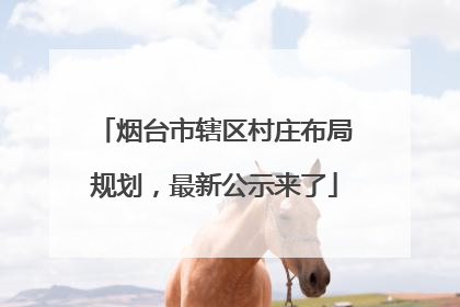 烟台市辖区村庄布局规划，最新公示来了