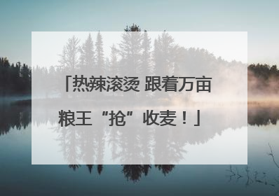 热辣滚烫 跟着万亩粮王“抢”收麦！