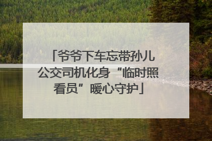 爷爷下车忘带孙儿 公交司机化身“临时照看员”暖心守护