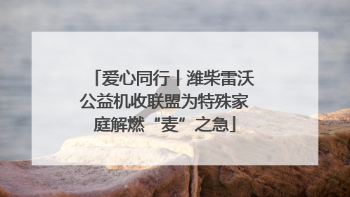 爱心同行丨潍柴雷沃公益机收联盟为特殊家庭解燃“麦”之急