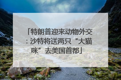 特朗普迎来动物外交：沙特将送两只“大猫咪”去美国首都