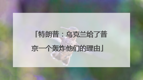 特朗普：乌克兰给了普京一个轰炸他们的理由