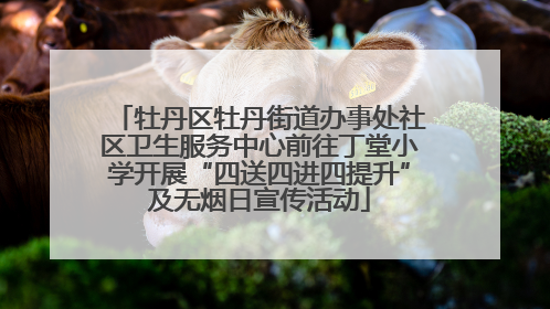 牡丹区牡丹街道办事处社区卫生服务中心前往丁堂小学开展“四送四进四提升”及无烟日宣传活动