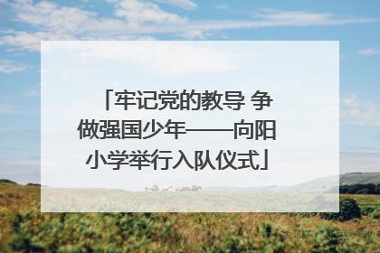 牢记党的教导 争做强国少年——向阳小学举行入队仪式