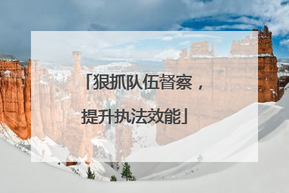 狠抓队伍督察，提升执法效能