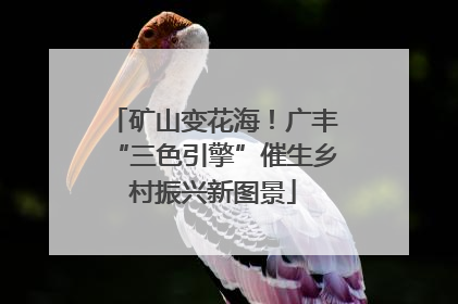 矿山变花海！广丰“三色引擎”催生乡村振兴新图景