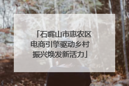 石嘴山市惠农区电商引擎驱动乡村振兴焕发新活力