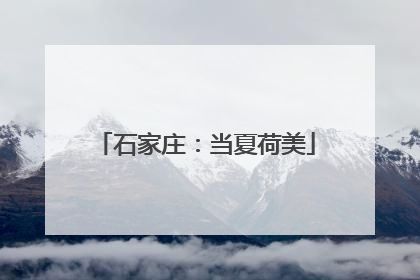 石家庄：当夏荷美