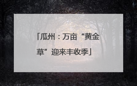 瓜州：万亩“黄金草”迎来丰收季