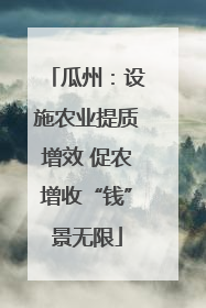 瓜州：设施农业提质增效 促农增收“钱”景无限