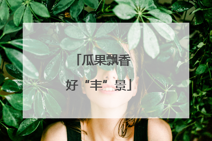 瓜果飘香 好“丰”景