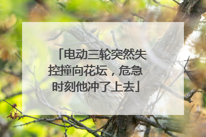 电动三轮突然失控撞向花坛，危急时刻他冲了上去