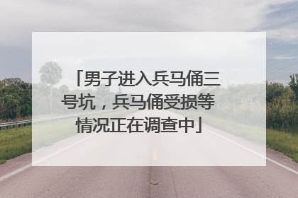 男子进入兵马俑三号坑，兵马俑受损等情况正在调查中