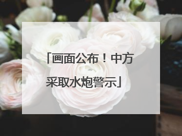 画面公布！中方采取水炮警示