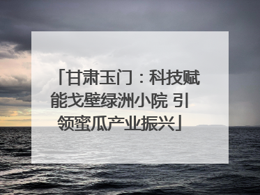 甘肃玉门：科技赋能戈壁绿洲小院 引领蜜瓜产业振兴