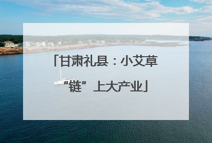 甘肃礼县：小艾草“链”上大产业