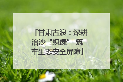 甘肃古浪：深耕治沙“织绿” 筑牢生态安全屏障