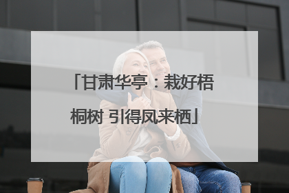 甘肃华亭：栽好梧桐树 引得凤来栖