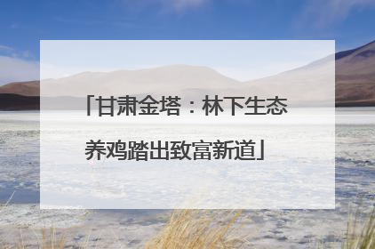 甘肃金塔：林下生态养鸡踏出致富新道