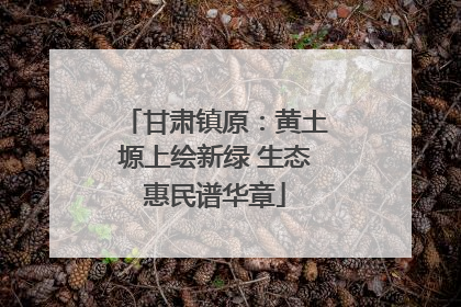 甘肃镇原：黄土塬上绘新绿 生态惠民谱华章