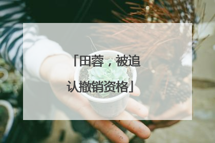 田蓉，被追认撤销资格