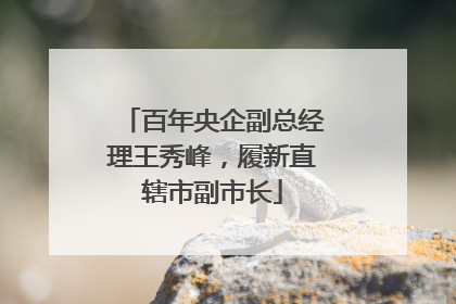百年央企副总经理王秀峰，履新直辖市副市长