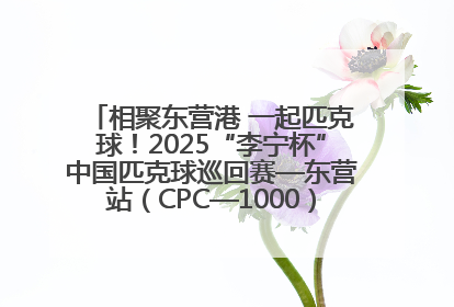 相聚东营港 一起匹克球！2025“李宁杯”中国匹克球巡回赛—东营站（CPC—1000）暨“好运山东”黄河口匹克球公开赛落幕