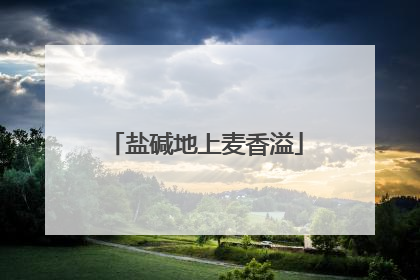 盐碱地上麦香溢