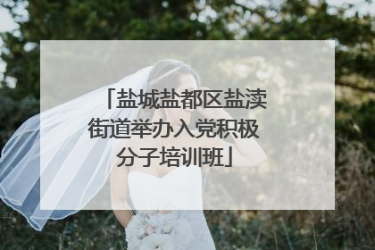盐城盐都区盐渎街道举办入党积极分子培训班