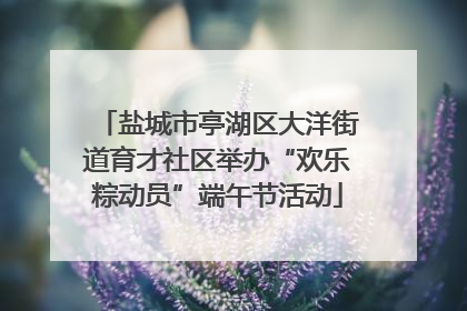 盐城市亭湖区大洋街道育才社区举办“欢乐粽动员”端午节活动