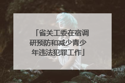 省关工委在宿调研预防和减少青少年违法犯罪工作