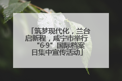 筑梦现代化，兰台启新程，咸宁市举行“6·9”国际档案日集中宣传活动