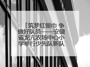 筑梦红领巾 争做好队员——安徽省龙亢农场中心小学举行少先队新队员入队仪式