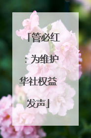 管必红：为维护华社权益发声